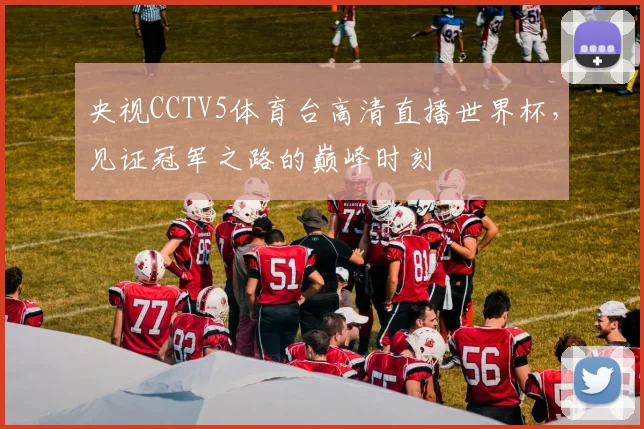 央视CCTV5体育台高清直播世界杯，见证冠军之路的巅峰时刻