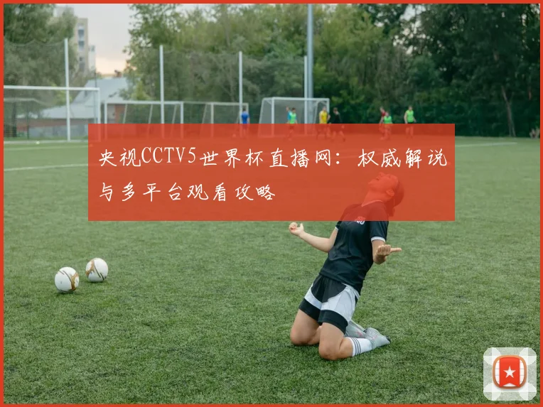 央视CCTV5世界杯直播网：权威解说与多平台观看攻略