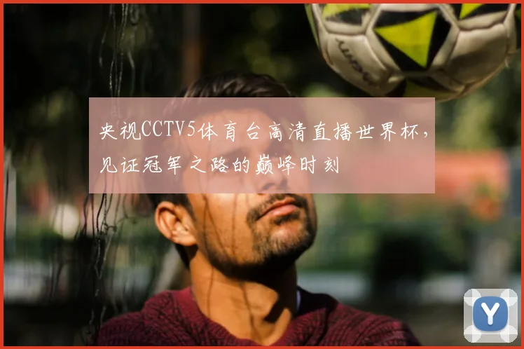 央视CCTV5体育台高清直播世界杯，见证冠军之路的巅峰时刻