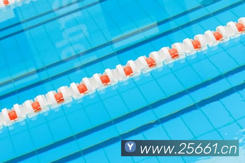 乐竞官网首页登录入口服务体系